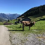 Kueferhof Mellau