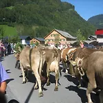 Kueferhof Mellau