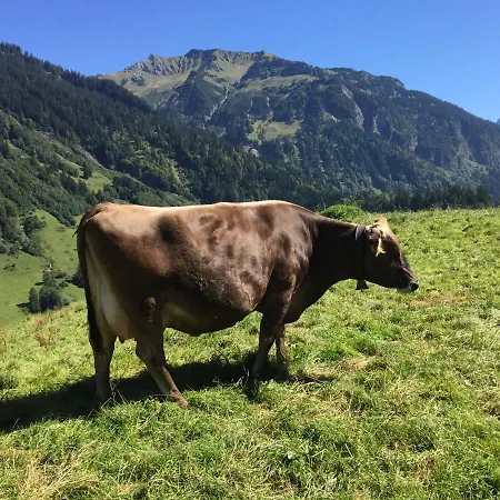 Daire Kueferhof Mellau