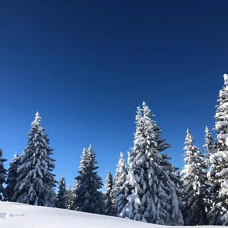 Kueferhof Appartamento
