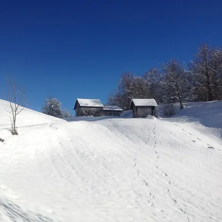 Kueferhof * Mellau