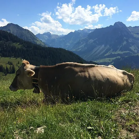 Kueferhof Lägenhet Mellau