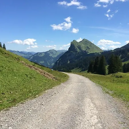 Daire Kueferhof Mellau