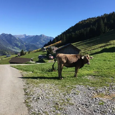 Kueferhof Mellau