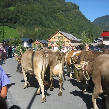Kueferhof Mellau
