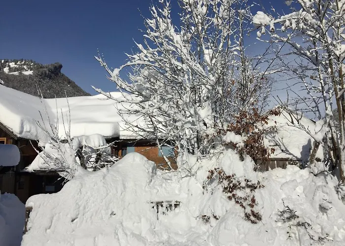 Kueferhof Apartment *