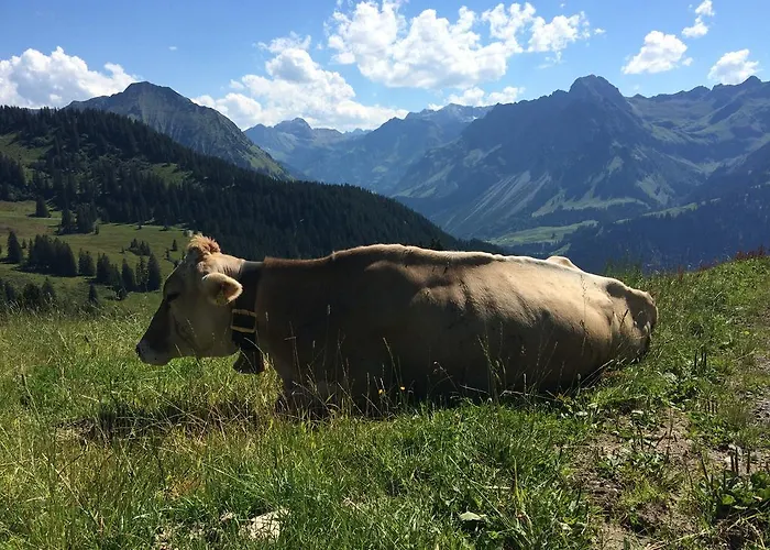 Kueferhof Apartman Mellau